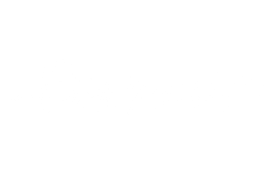 OVERMODIFY LOGO BANNER