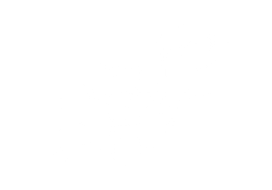 斯泰尔斯猫贴花